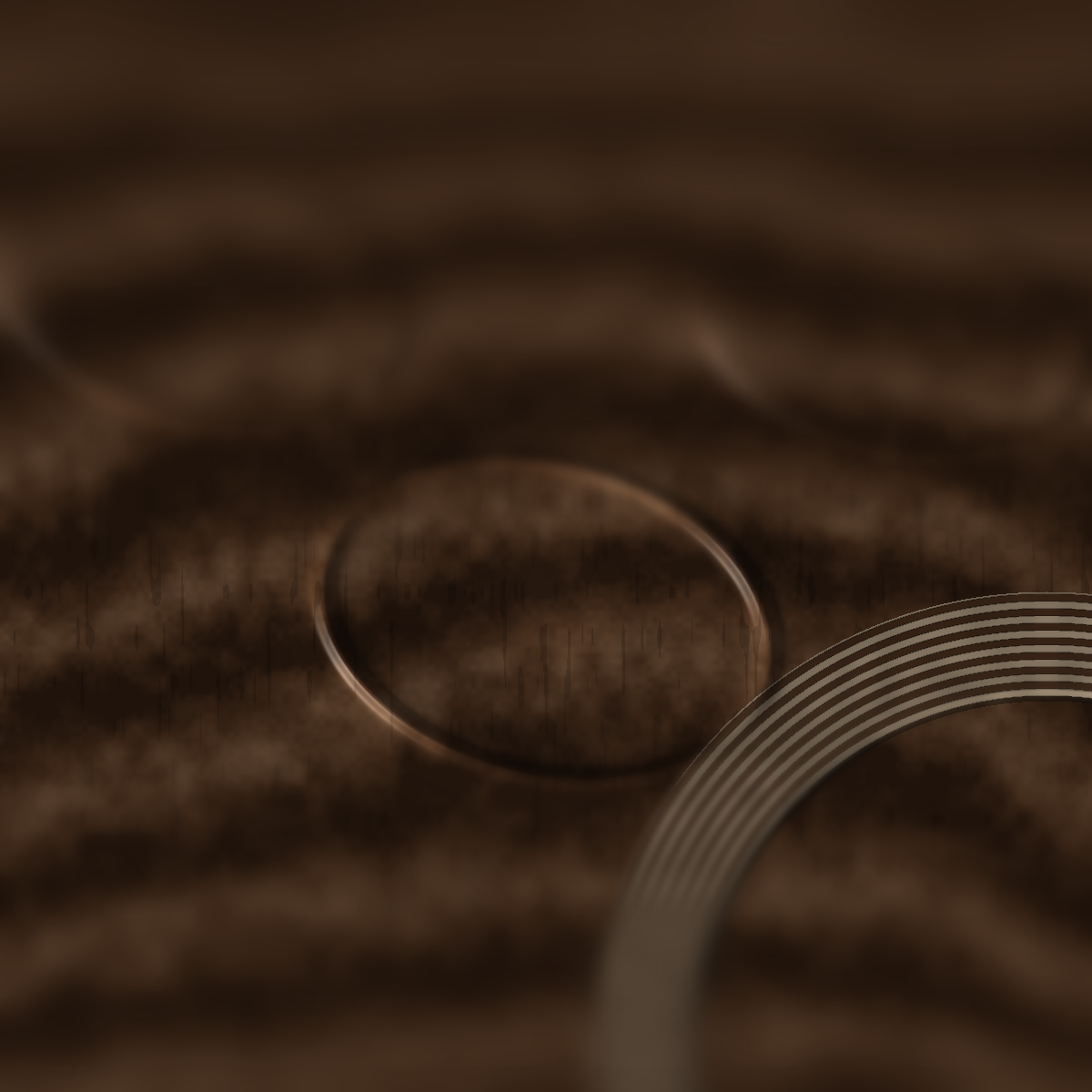 wooden-hang — tone-field macro detail
